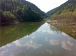 Грибалка